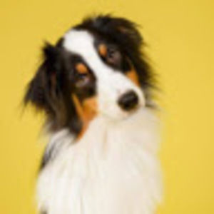 Meet your Posher, Sophie